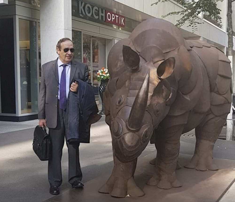 A bullish rally in the property market
