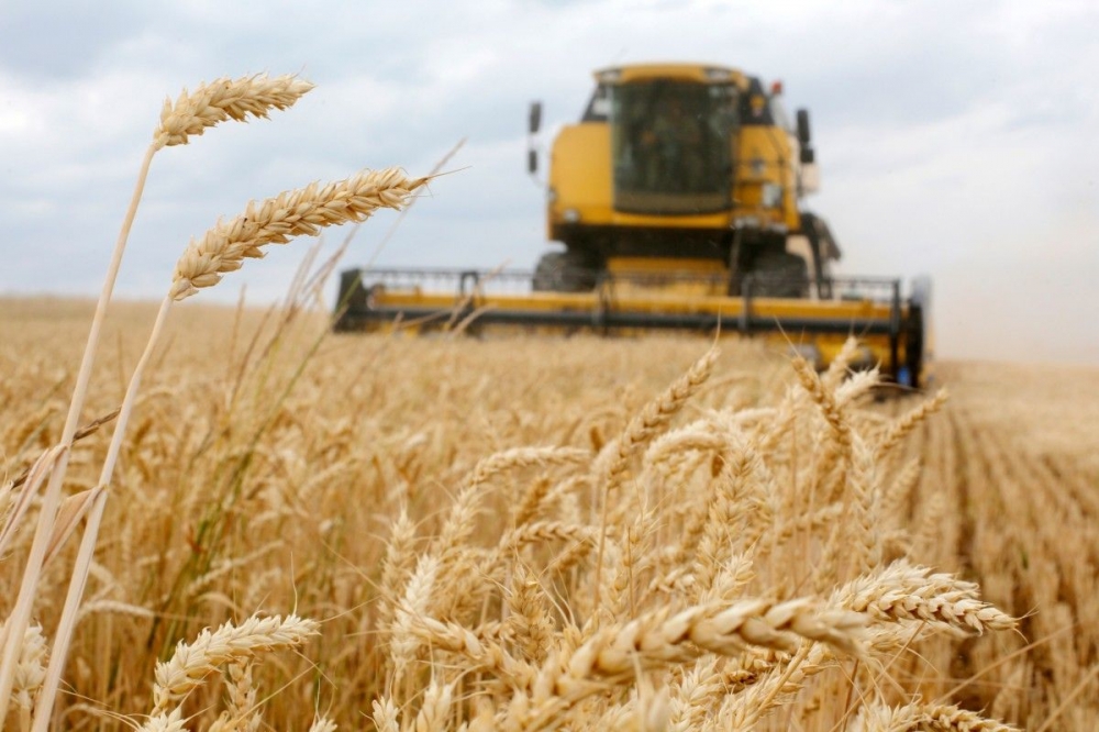 Wheat prices have fallen in Europe after news that harvests are due later this year