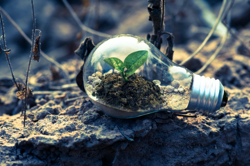MDB strengthens ability to finance green projects through EIB’s Green Gateway support