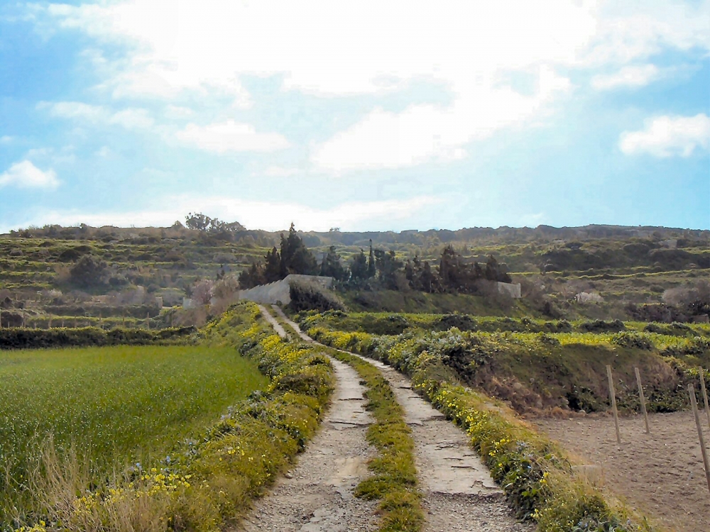 PA initiates process to revise rural policy