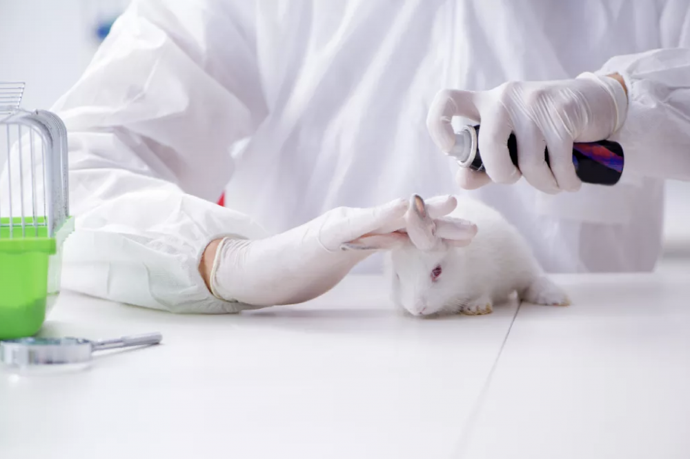 European Parliament approves EU plan to replace animal experiments with cutting-edge science