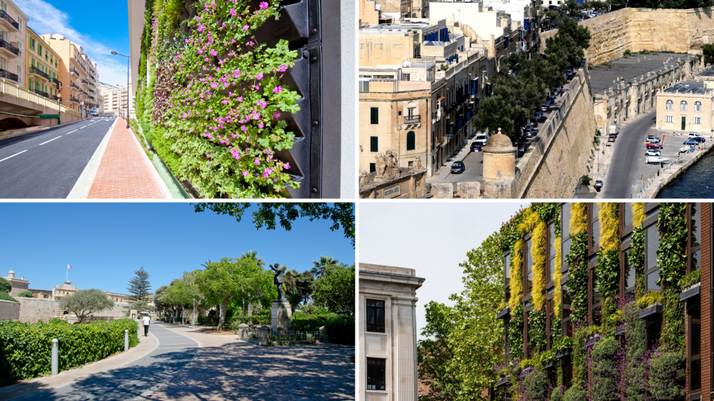 Going green: What is green infrastructure in Malta?