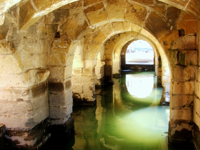 Making a difference in Malta’s environmental sustainability