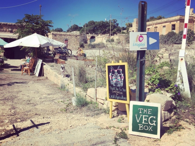 The Veg Box: bridging the gap between farmer and consumer